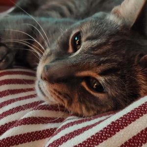 Meet your Posher, Daniela